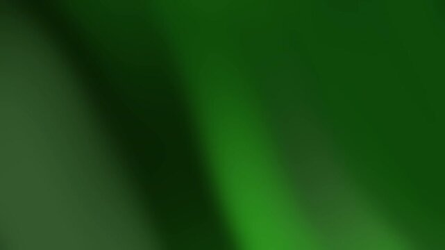 Dark green background with lighter green shading, suitable for naturethemed designs, ecofriendly concepts, or minimalist presentations on sustainability.