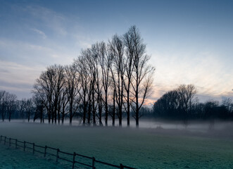 Schöne Winterlandschaft im Nebel
