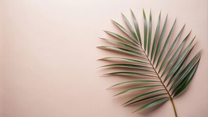 A single green palm frond, with its elegant curves and delicate leaflets, contrasts beautifully against the soft blush of the background, creating a minimalist and sophisticated aesthetic.