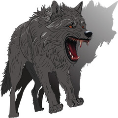 grey wolf isolated on white background