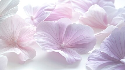 Fototapeta premium Fresh bouquet of pink and white flowers arranged on a table