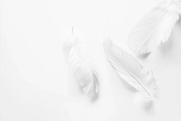 Elegant white feathers on a minimalistic white background, symbolizing purity, lightness, and tranquility, perfect for a serene and calming environment