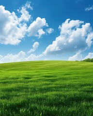 Fototapeta premium Lush Green Landscape with Beautiful Sky