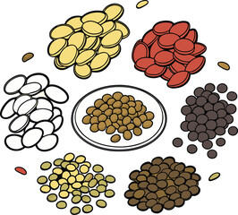 a collection of nine different types of lentils arranged in a circular pattern on a white background. 