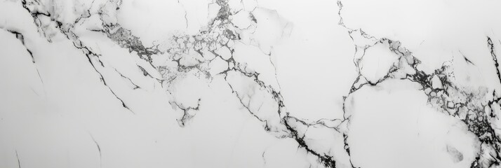 Fototapeta premium Elegant White Marble Texture with Natural Patterns