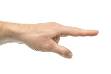 Human Hand Pointing Gesture