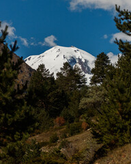 mt rainier national park