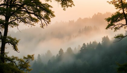 Obraz premium Misty Sunrise in the Mountains: A Breathtaking View Through the Trees