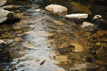 Obraz premium Shallow creek with rocks and clear water flowing over small stones. Nature shot.