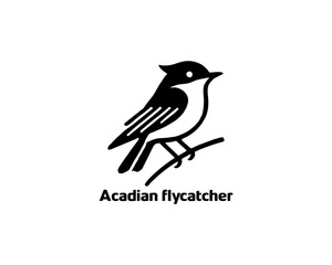 Acadian Flycatcher Bird Logo Design