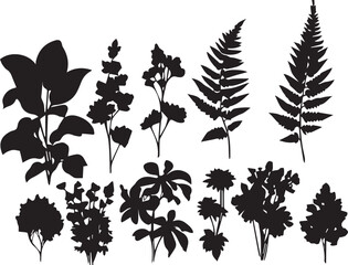 Set plants. Hand drawn vector illustration