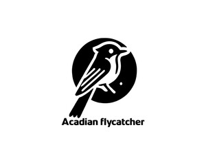 Acadian Flycatcher Bird Logo Design