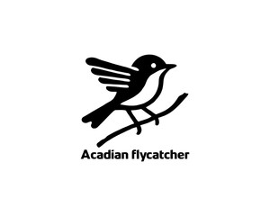 Acadian Flycatcher Bird Logo Design