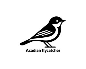 Acadian Flycatcher Bird Logo Design