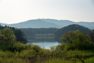 고요한 숲속의 작은 호수
