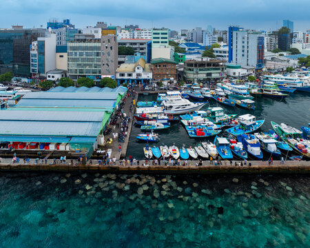 Stingray watching point in Mal&eacute; city, maldives islands. Next to the port and fish market.
