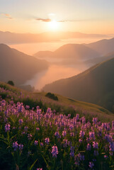 Obraz premium Morning Bliss: A Stunning View of Sunlit Hills and Dreamy Mist Embracing a Field of Lush Purple Wildflowers
