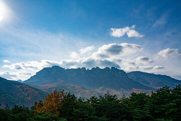 단풍이 물든 가을 숲과 바위산 가을 숲과 바위산