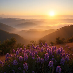 Morning Bliss: A Stunning View of Sunlit Hills and Dreamy Mist Embracing a Field of Lush Purple Wildflowers