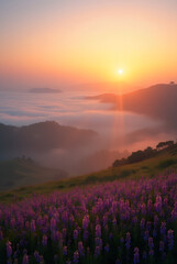 Morning Bliss: A Stunning View of Sunlit Hills and Dreamy Mist Embracing a Field of Lush Purple Wildflowers