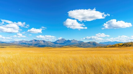 Obraz premium Golden autumn meadow, mountains, blue sky; scenic landscape, travel photography
