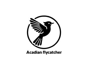 Fototapeta premium Acadian Flycatcher Bird Logo Design