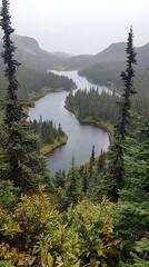 Serpentine lake nestled in a misty mountain valley, viewed from an elevated perspective amongst evergreen trees.