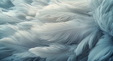 Obraz premium In an extreme close-up, delicate white feathers are softly focused to enhance an ethereal texture, lit with high-key lighting in a minimalist frame, embodying angelic purity, floating and