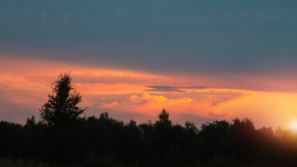 Sunset summer sky over the forest