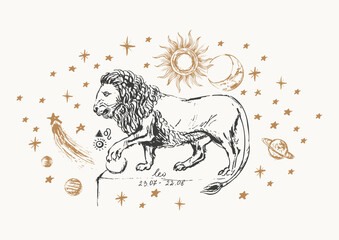 Hand drawn leo zodiac sign illustration, horoscope background