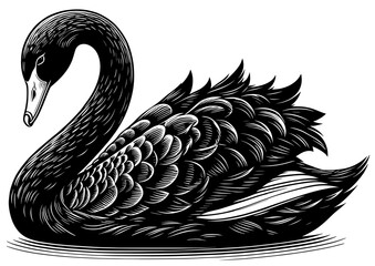 Black Swan Vector File