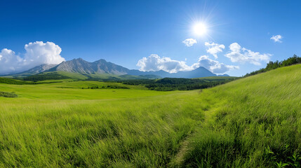 Obraz premium Large field of grass with a mountain in the background. Minimalistic background.