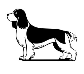 spaniel dog