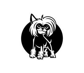 chinese crested dog