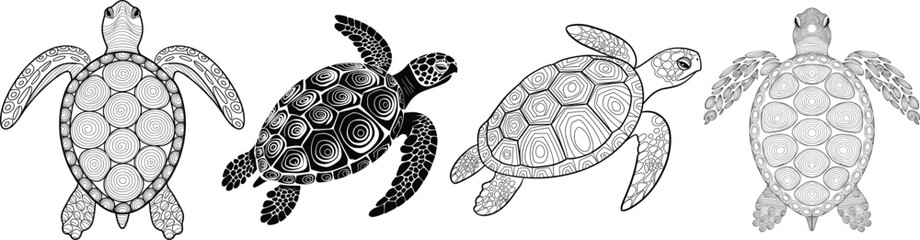 Fototapeta premium Silhouette sea turtle pet vector black and white with vintage outline style on white background.