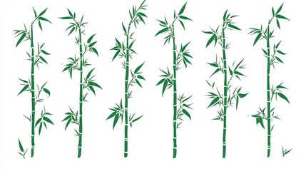 Naklejka premium Green Bamboo Stalks with Leaves Against a White Background