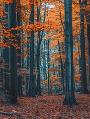 Fototapeta premium Forest with Orange Leaves