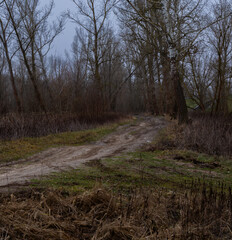 Winter thaw, road along the Świder River, Masovia, central Poland