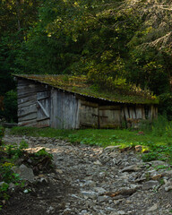 forest hut in the mountains