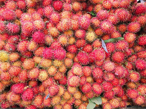 Texture of rambutan