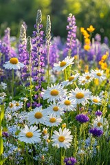 Fototapeta premium Wildflower Meadow in Pastel Colors Illuminated by Soft Sunlight, a Summer Bloom in the Afternoon.