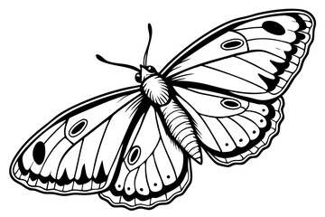 engraving butterfly isolated on white