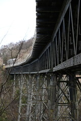 a view of the Meldon viaduct. a truss bridge that carried the Dartmoor railway which is now a cycle route