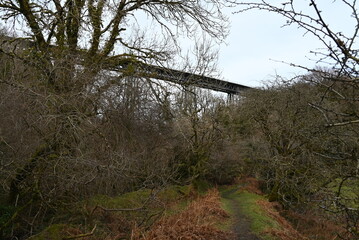 a view of the Meldon viaduct. a truss bridge that carried the Dartmoor railway which is now a cycle route