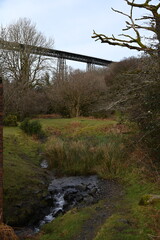 a view of the Meldon viaduct. a truss bridge that carried the Dartmoor railway which is now a cycle route