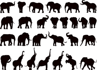 elephants collection, set silhouette on white background vector