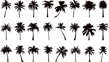 Obraz premium palm tree collection, set silhouette on white background vector