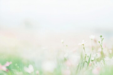 Fototapeta premium Soft Focus Wildflowers in Pastel Tones Capturing Serenity and Nature's Beauty