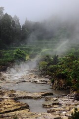 Misty geothermal landscape with hot springs.