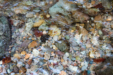 Landscape Clear water flows over a bed of smooth, colorful pebbles in a shallow stream.
